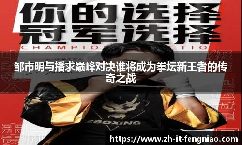 邹市明与播求巅峰对决谁将成为拳坛新王者的传奇之战