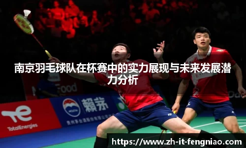 南京羽毛球队在杯赛中的实力展现与未来发展潜力分析