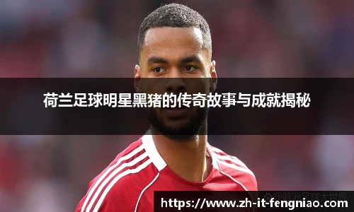 荷兰足球明星黑猪的传奇故事与成就揭秘